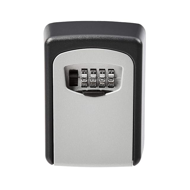 Boîte à clés murale Amazon Basics avec cache