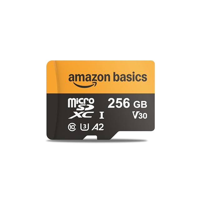 Carte microSDXC 256 Go Amazon Basics